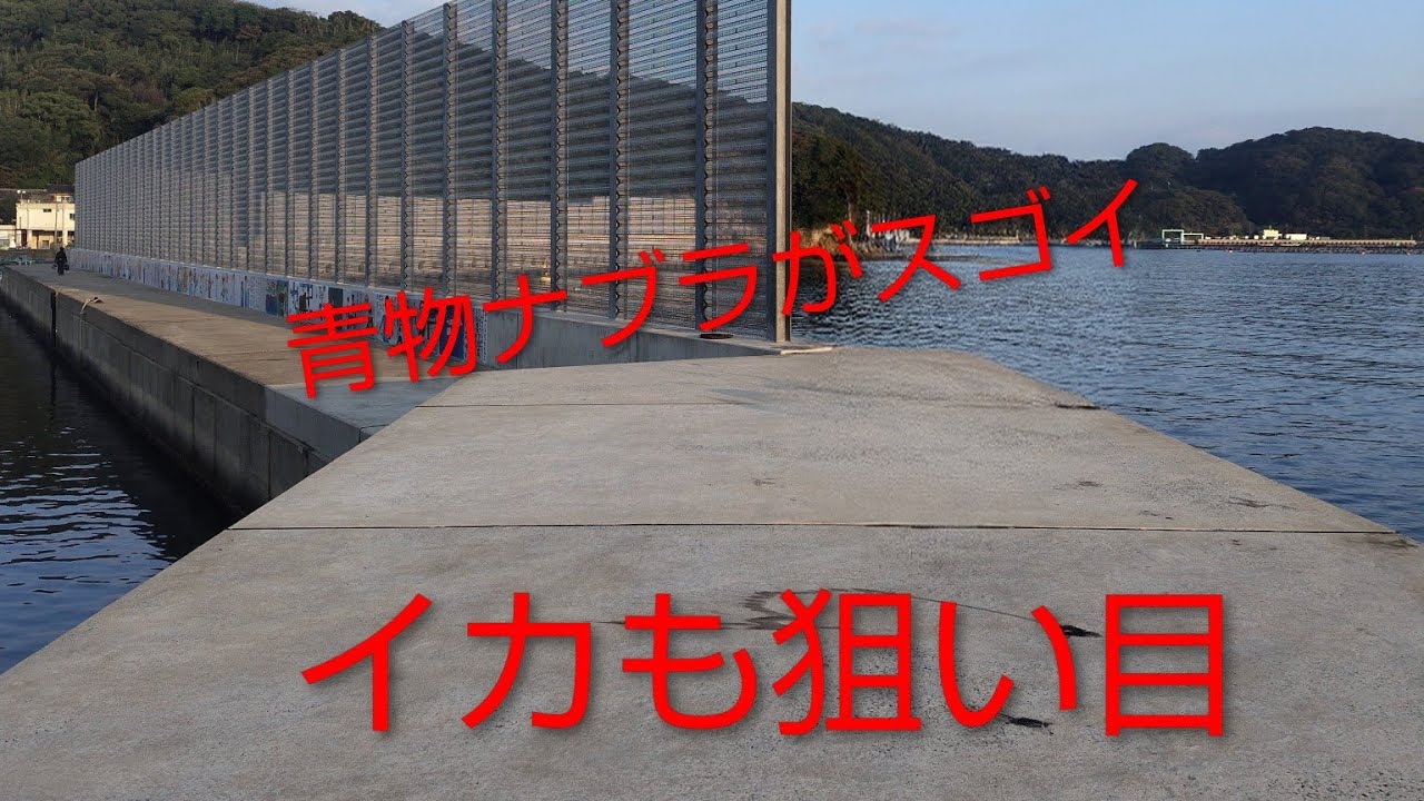 2025年晩秋鷹島での青物