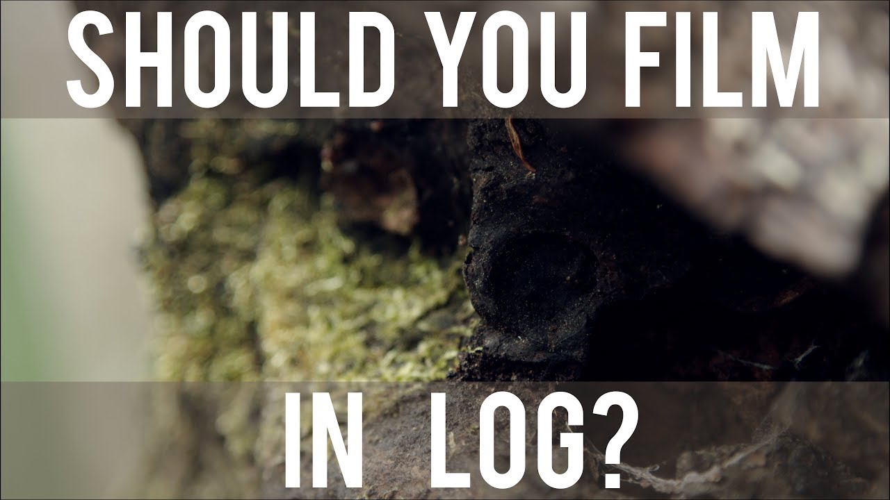 Should You Film in LOG?