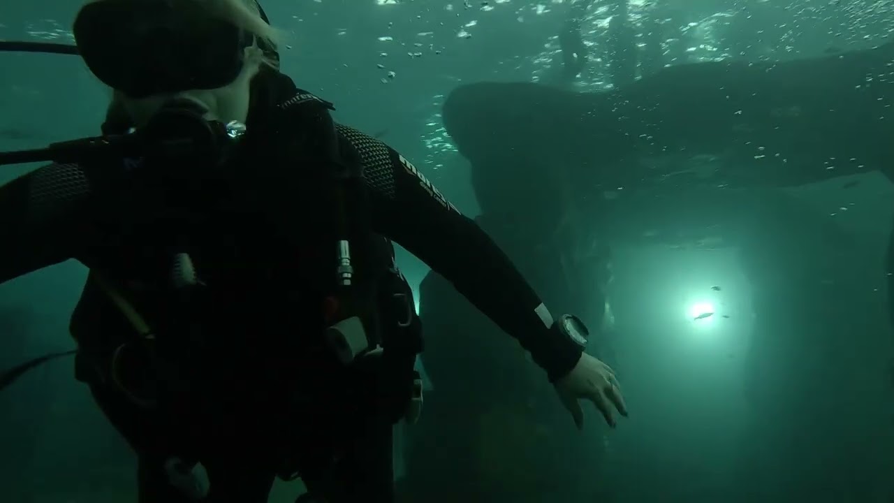 260221 JPNDive & Aline à Todi 