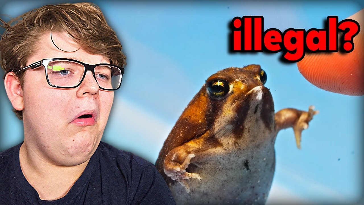 He Bought 'illegal' Fat Frogs For 60 day Experiment | Reaction