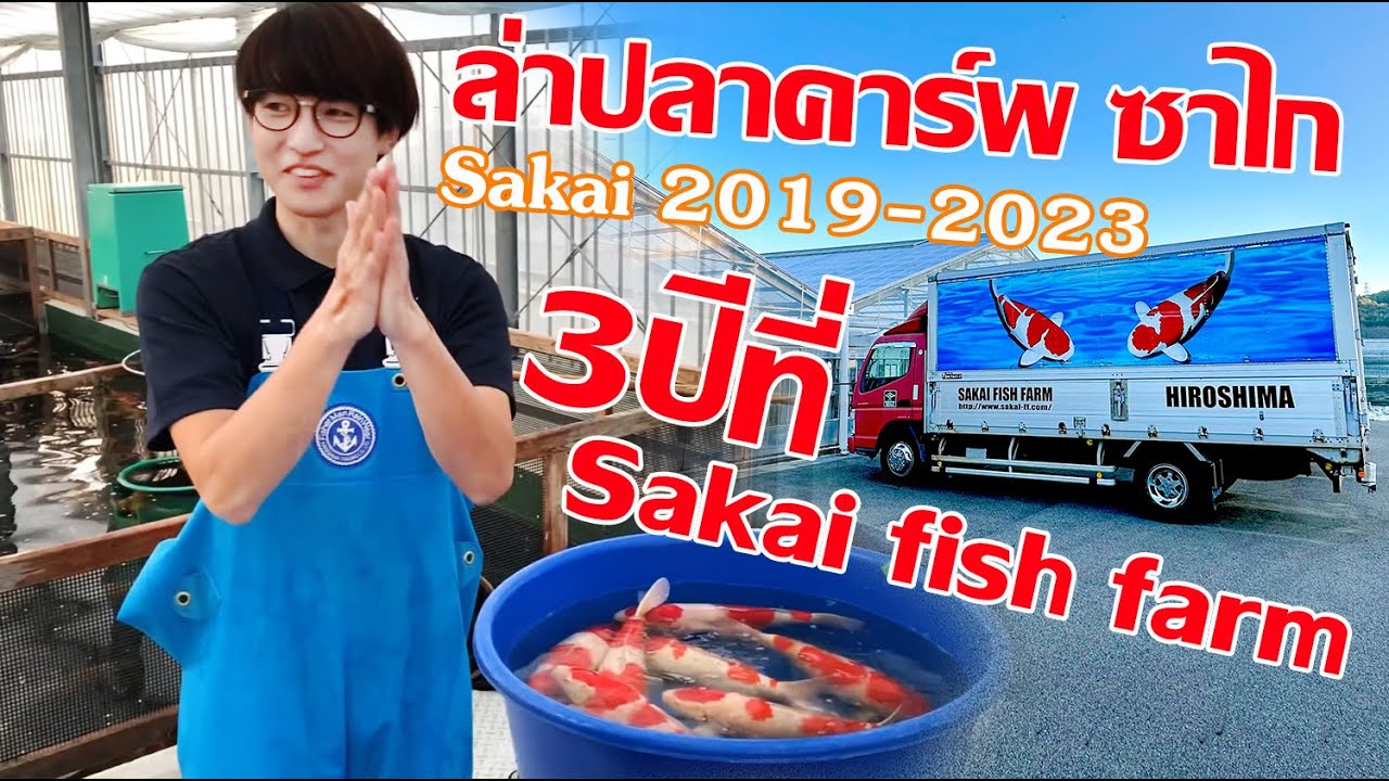 3ปีที่ ซาไก ใน 18นาที Sakai fish farm 2019-2023 Hiroshima Japan