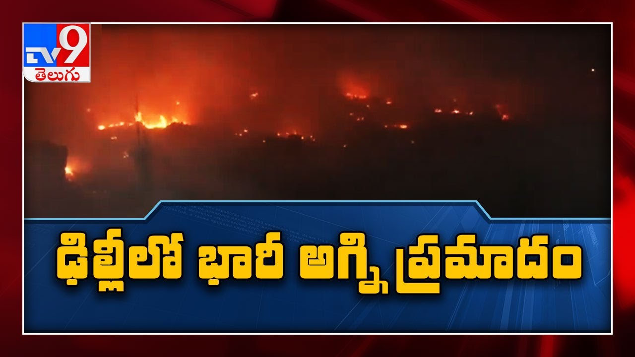 Fire breaks out at Shahbad dairy area in Delhi's Rohini - TV9