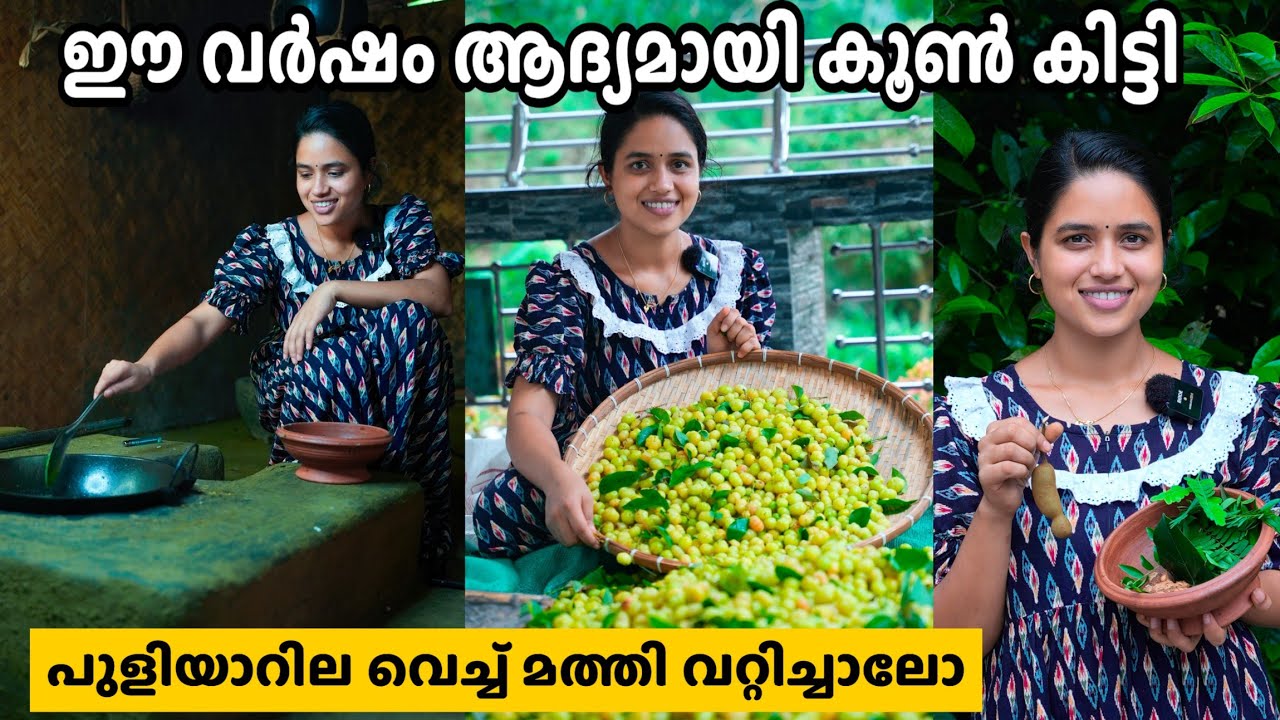 ഈ വർഷം ആദ്യമായി കൂൺ കിട്ടി.... @saranyasbeautyvlogs