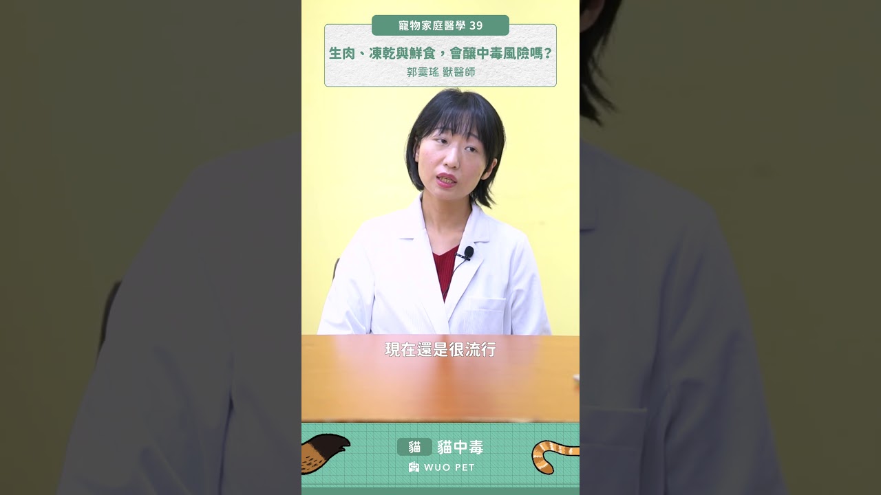 生肉、凍乾、鮮食，會釀中毒風險嗎？｜寵物家庭醫學