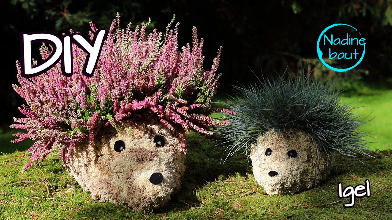 Herbstdeko selber machen - Igel basteln aus Moos - Herbst Deko Ideen mit Naturmaterialien - DIY