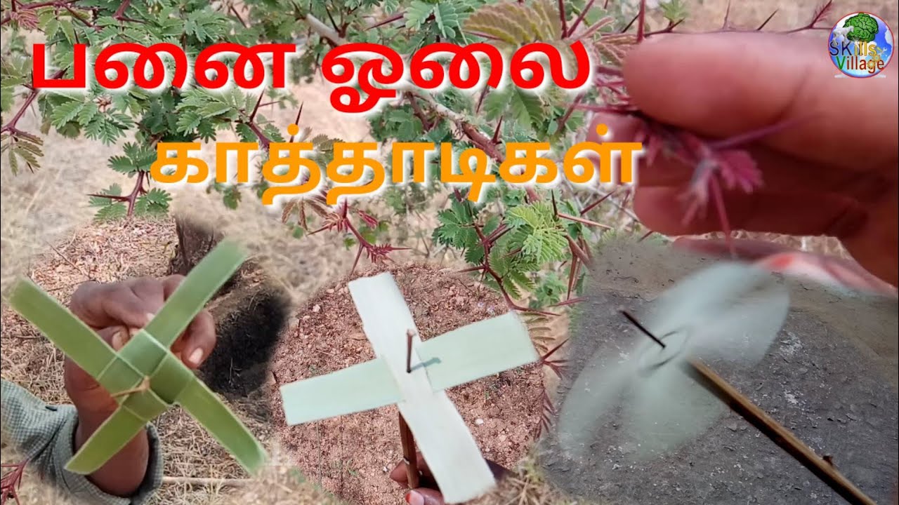 How to make Palm leaf different types of kaathadi in Tamil|ஓலை காத்தாடி|skills village