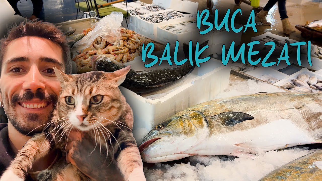 Burası Balık(çı) Cenneti - Buca Balık Hali