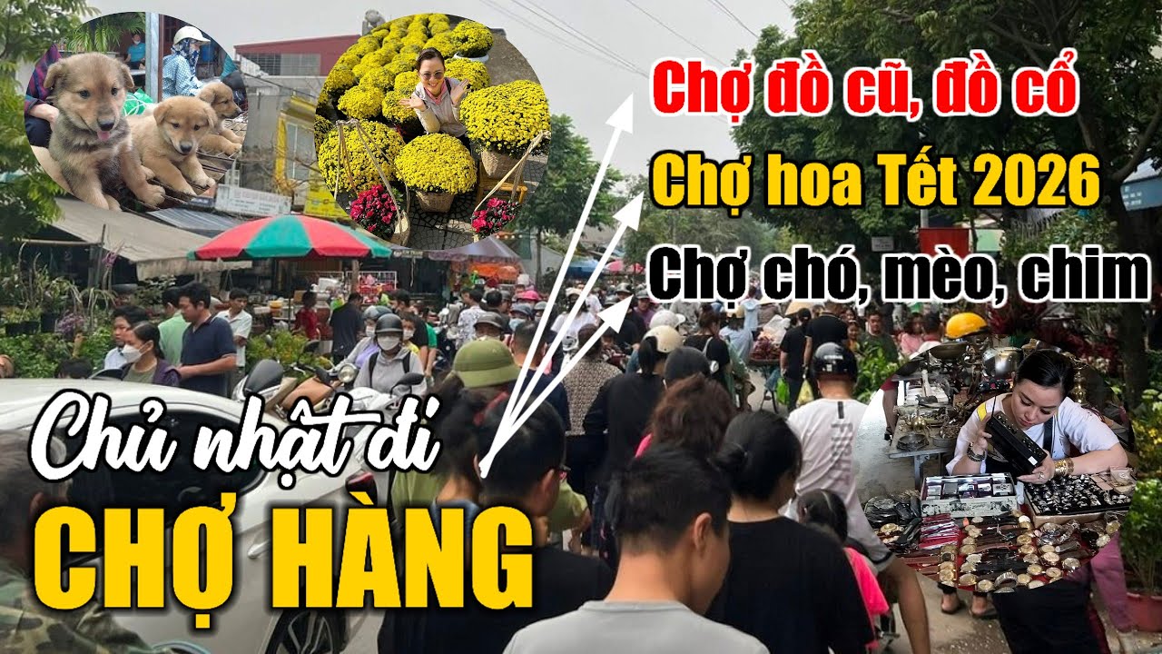 Chợ Hàng Hải Phòng (14 tháng chạp) | 01.02.2026.