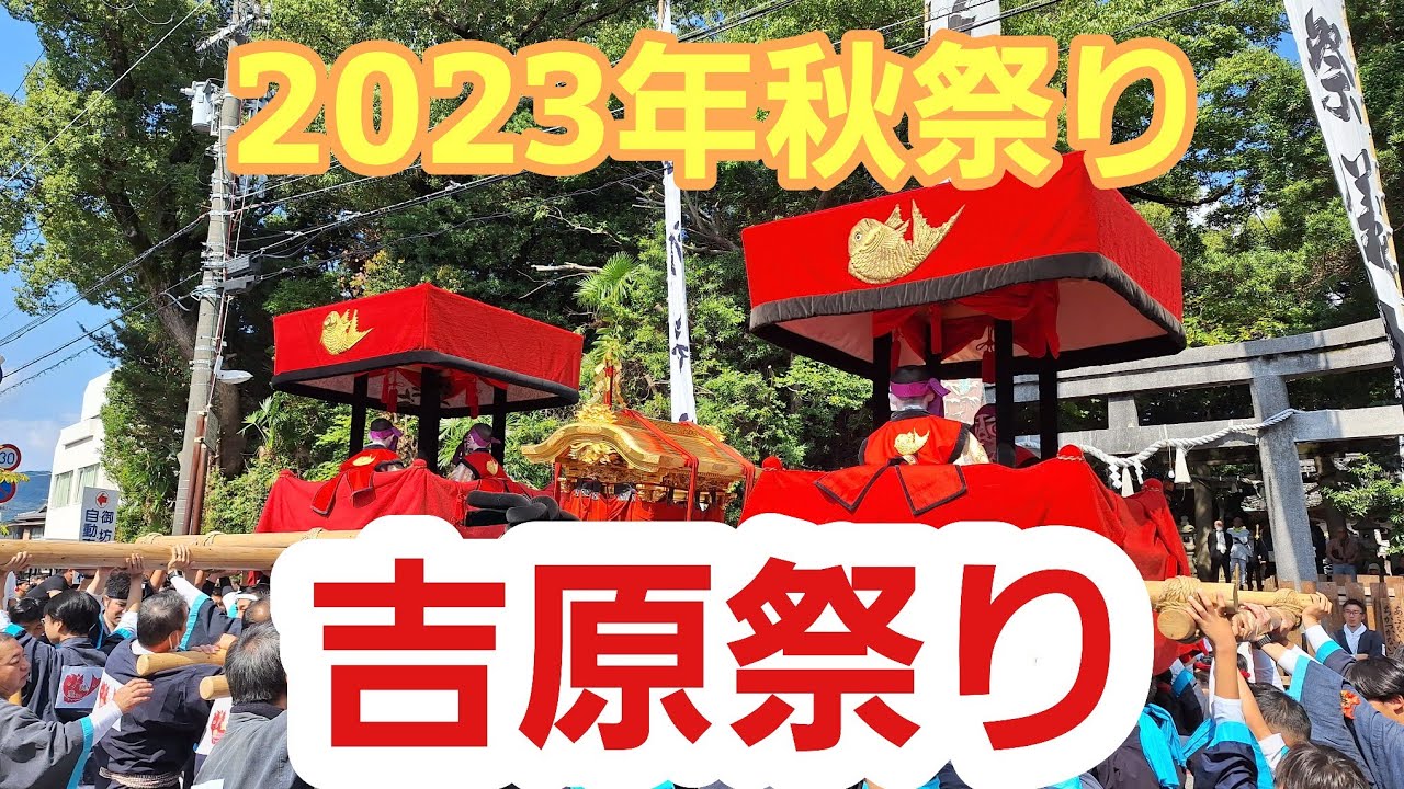 吉原祭り  2023年10月14日・15日 #お祭り #秋祭り #美浜町