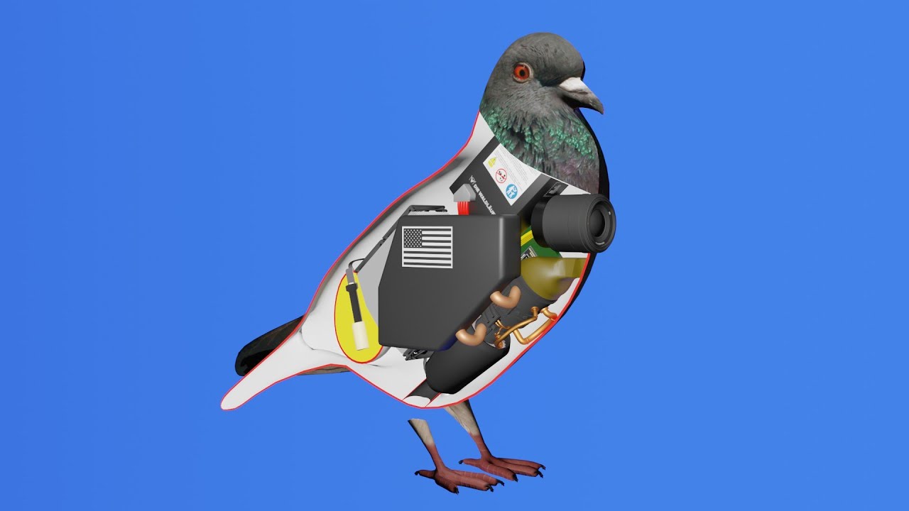 How a bird works