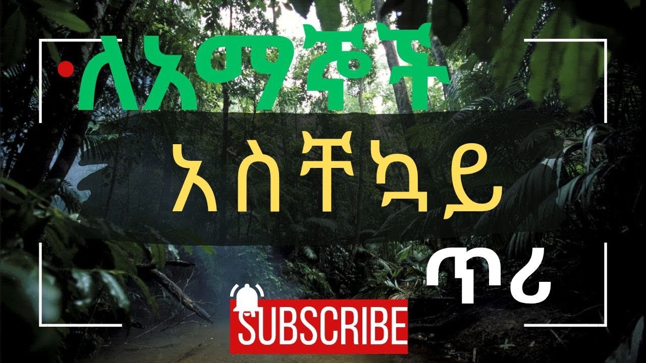 12 February 2026 እባኮት ሼር ያድርጉት