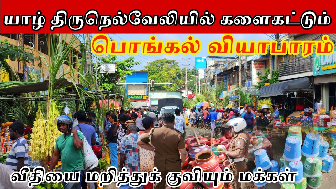 யாழ்ப்பாணம் களைகட்டும் பொங்கல் வியாபாரம் | Jaffna 