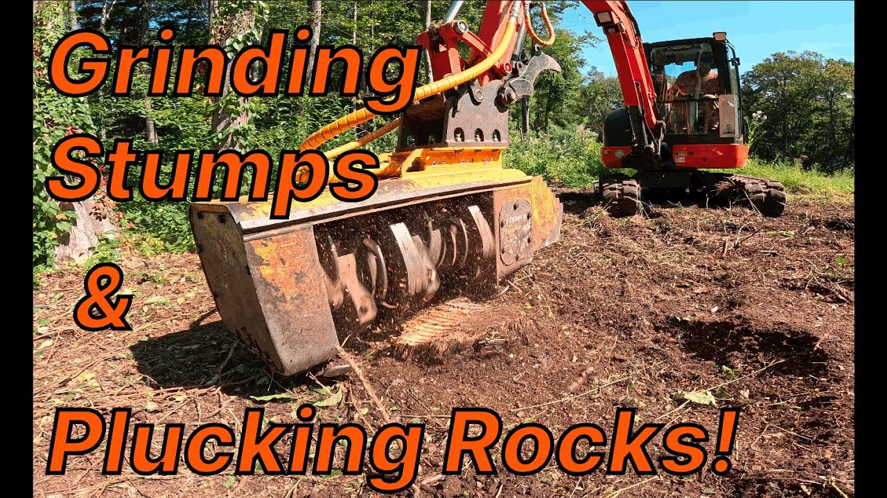 Grinding Stumps & Plucking Rocks with a Forestry Mulcher! (&  attacked by yellowjackets!)