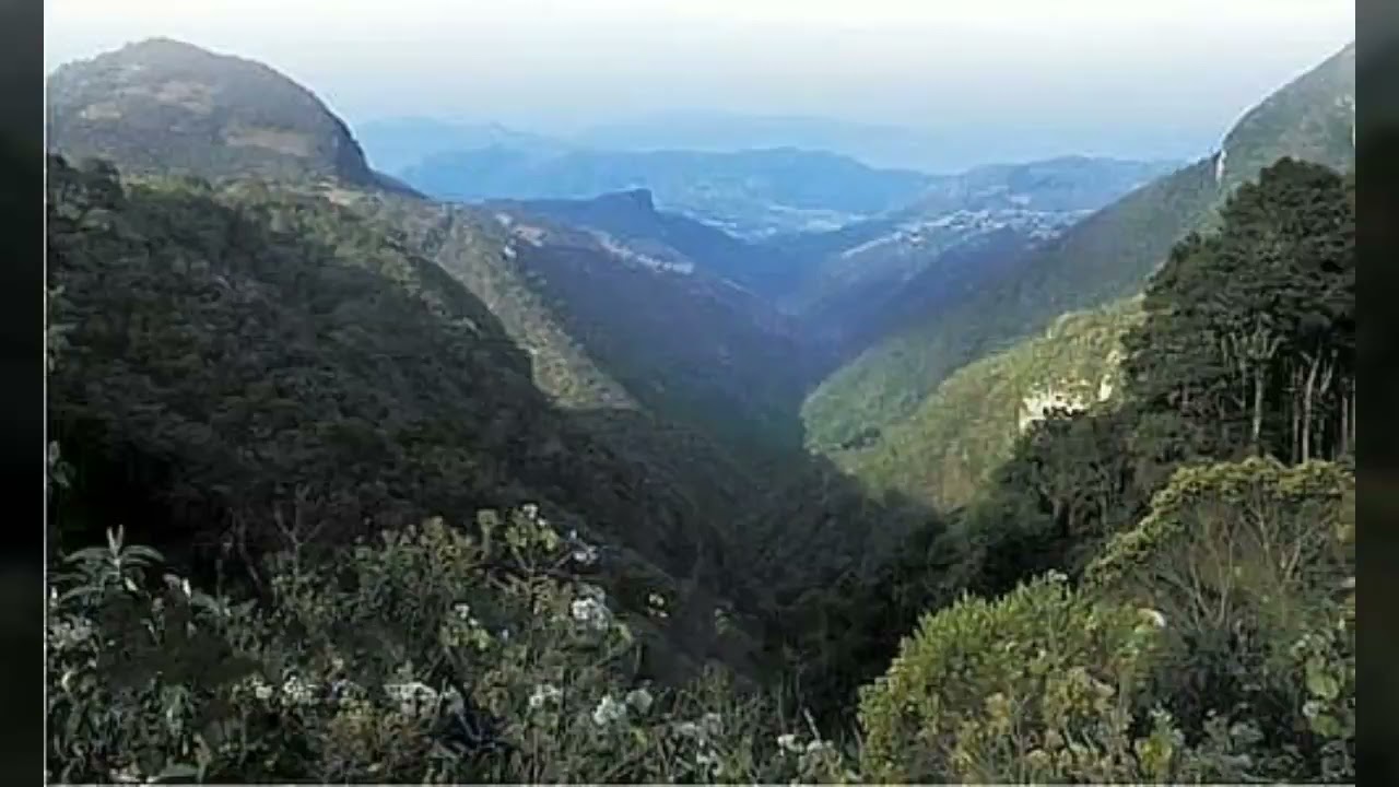 Trío Armonía Huasteca🎻Huapangos del Recuerdo🎻LP Completo