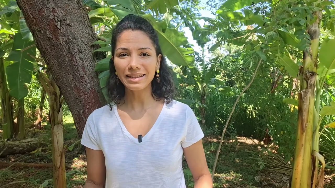 O que acontece quando você abraça sua escuridão?