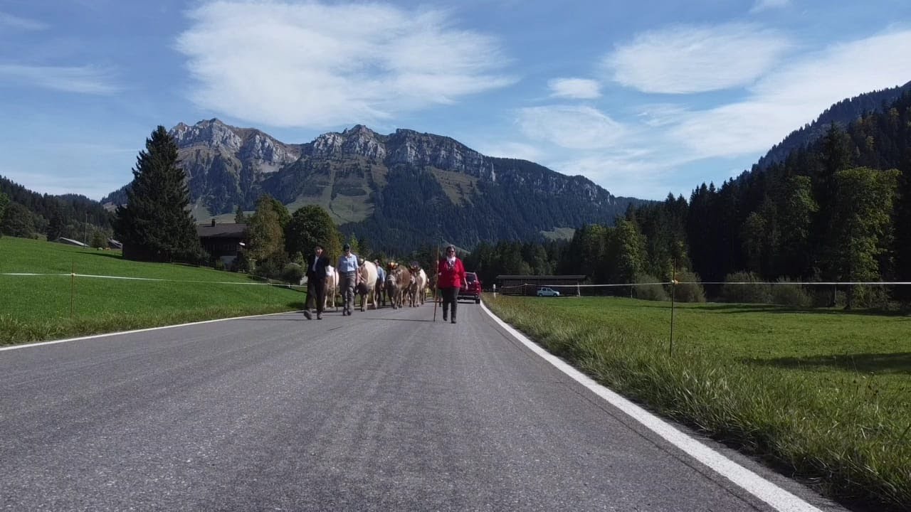Alpabfahrt Fam. Fuchser Alp Fall Eriz 23.9.2022