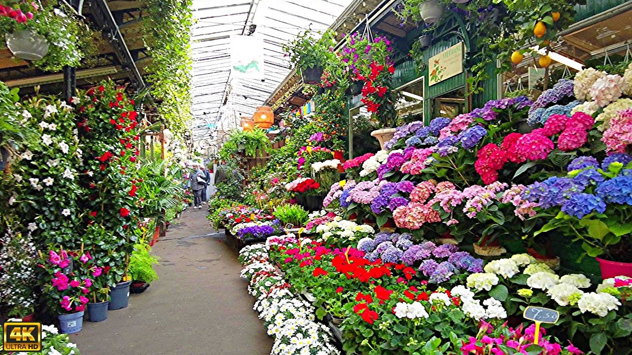 Marché aux fleurs de l'Île de la Cité - Paris