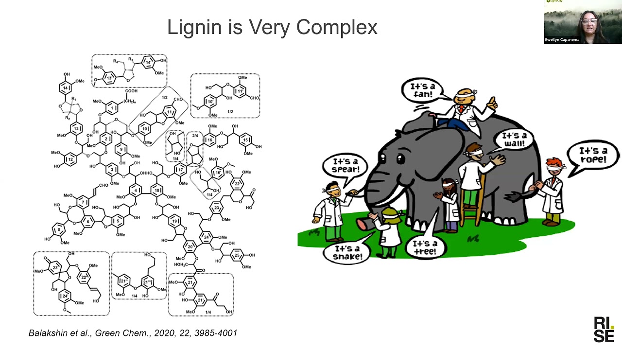 Lignin from idea to market - possibilities and challenges