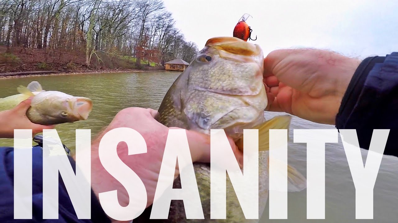 INSANE Chickamauga Bass Fishing with Crankbaits!