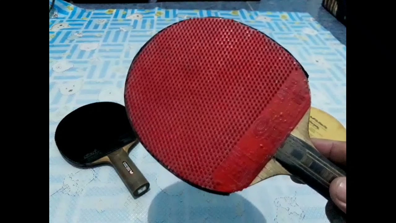 Gergely, Hadrawshield, Donic Alligator blade andalan bintikers