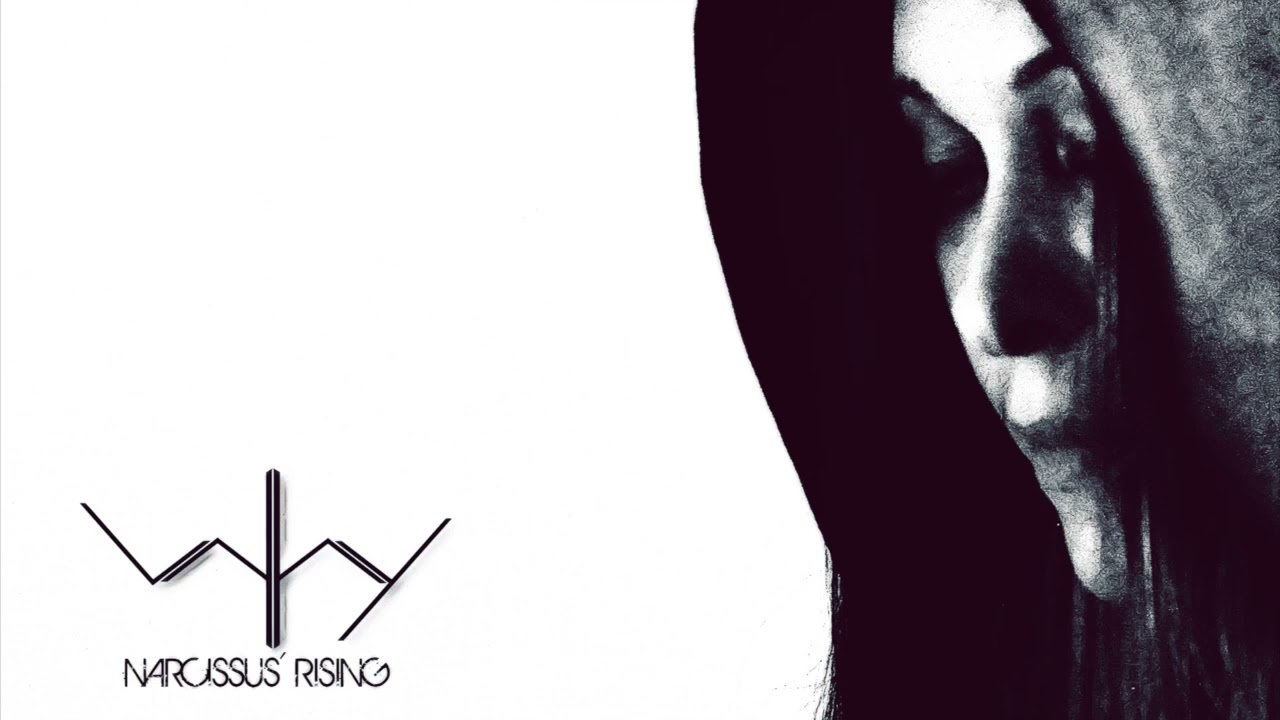 The Attic Assembly - Narcissus` Rising