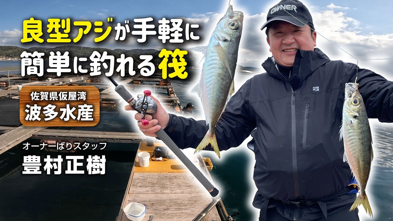 良型アジが手軽に簡単に釣れる筏/波多水産
