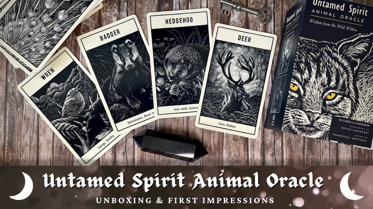 Untamed Spirit Animal Oracle | First impressions walkthrough