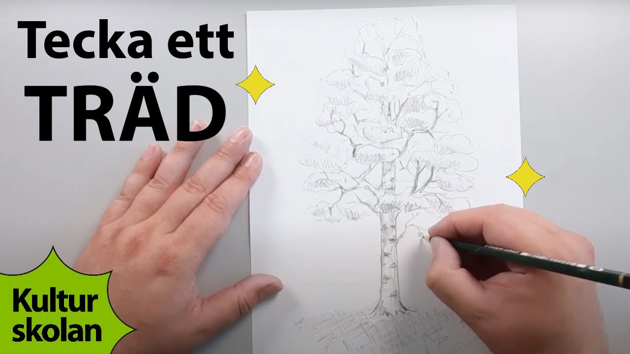 Lär dig teckna ett träd