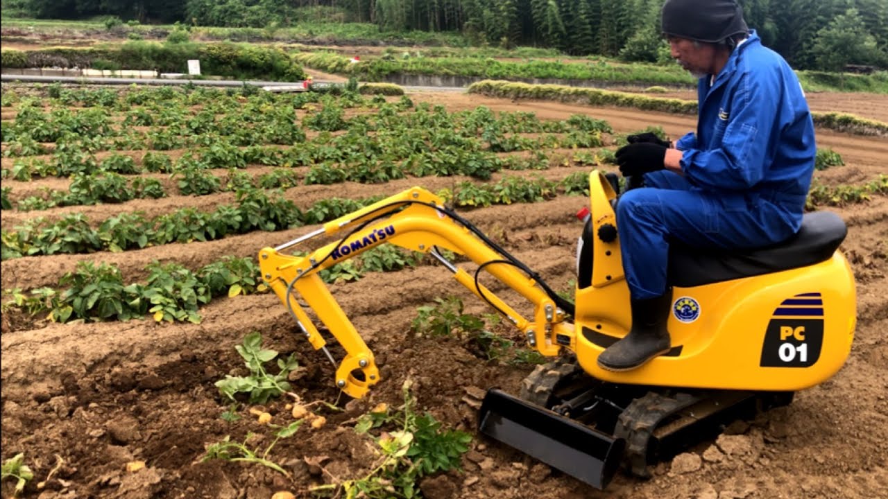 【KOMATSU PC01】ジャガイモ掘り！　Harvesting Potatoes with KOMATSU PC01