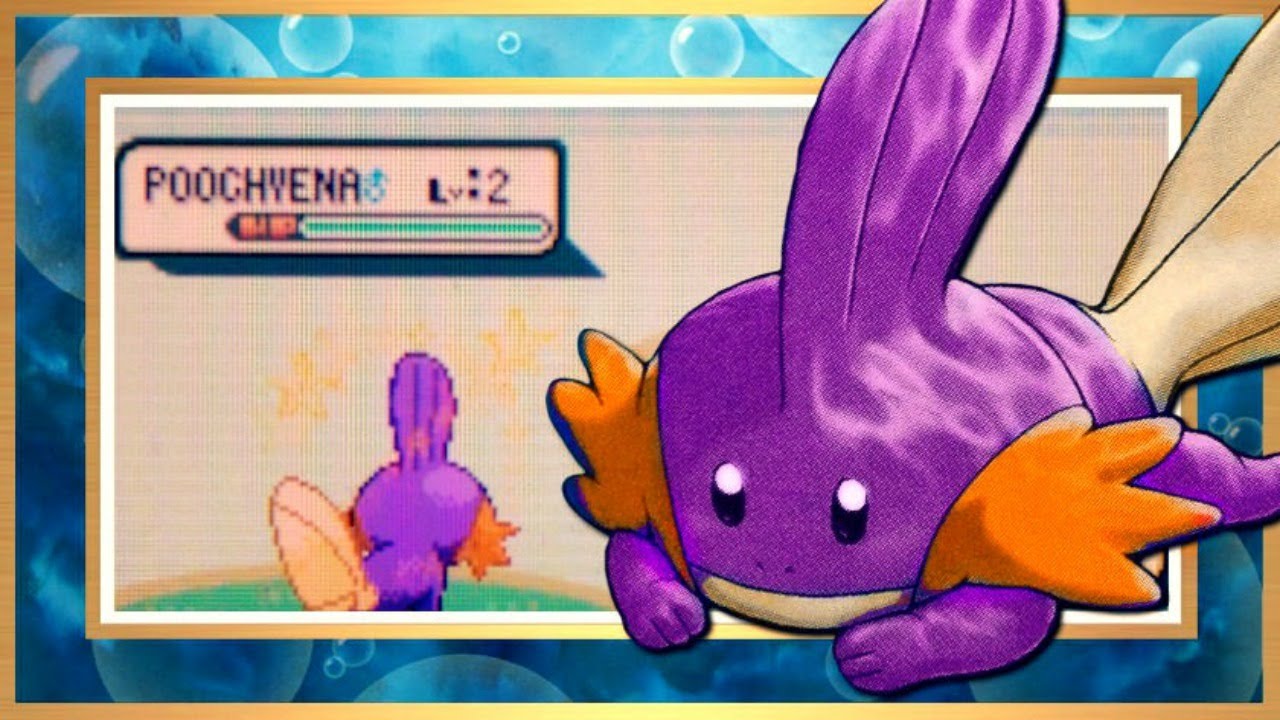 [ISHC + FTQ #1] LIVE!! Shiny Mudkip in Sapphire after 5,543 SRs (+Uncatchable Pooch)