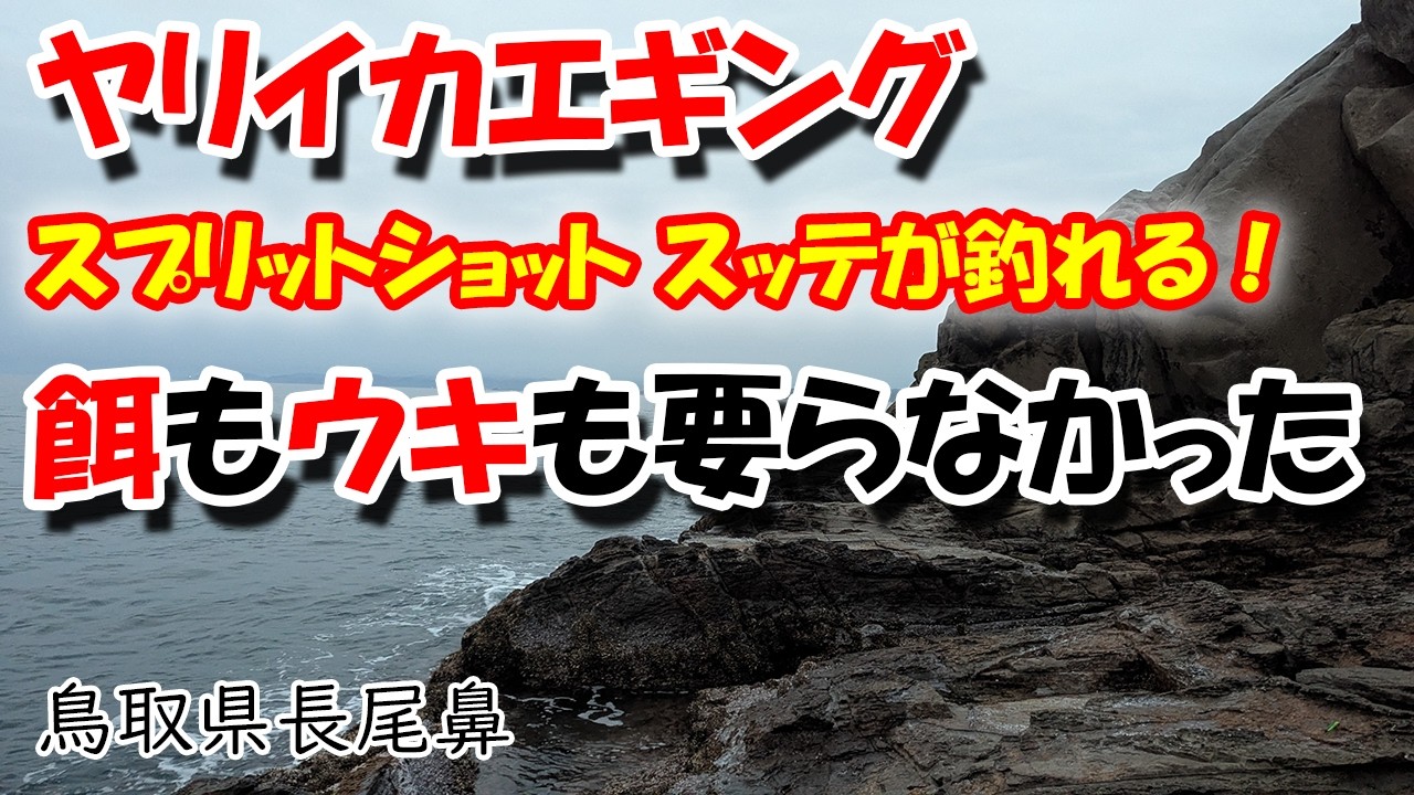 ヤリイカ釣り 餌要らなかったんや&hellip; ４月５日 鳥取県