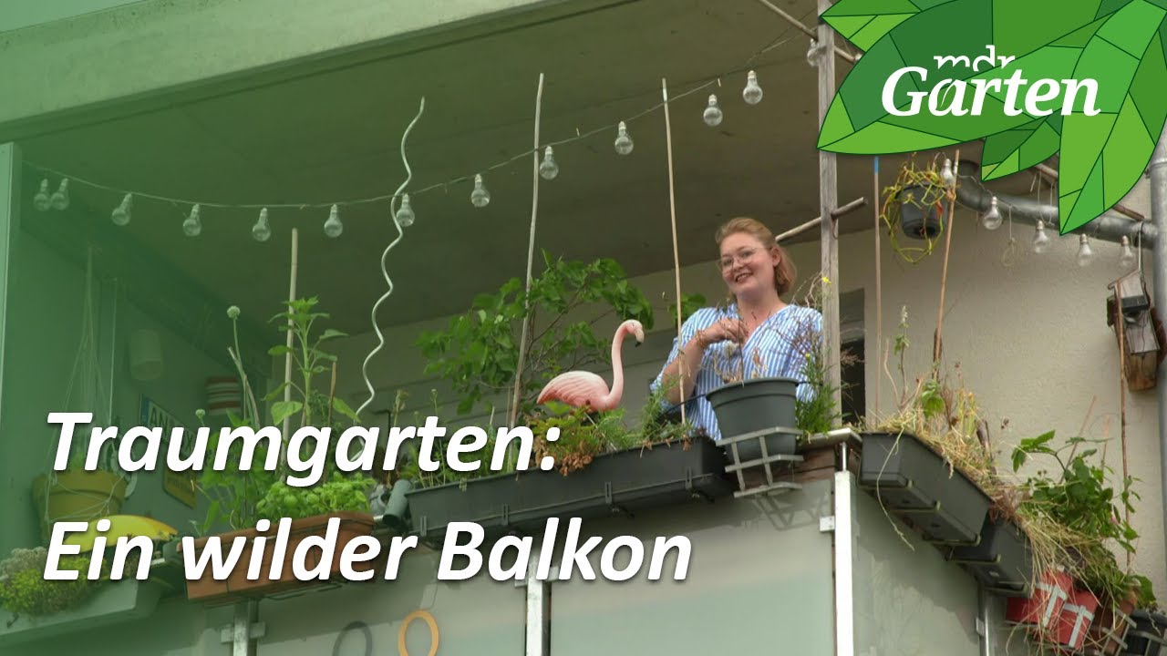 Kleiner, wilder Balkon | Traum-Balkongarten in Nürnberg | MDR Garten