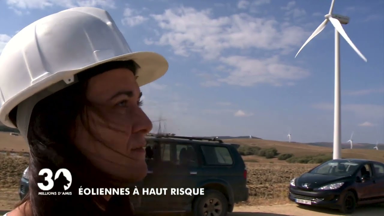 Éoliennes à haut risque - émission 30 Millions d'Amis du 9 février 2013