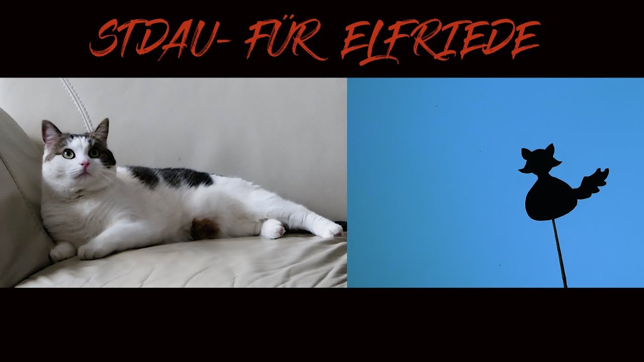 STDAU - Für Elfriede (official video)