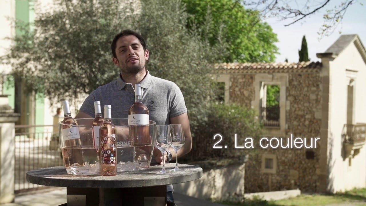 Vin rosé : ce qu'il faut savoir pour briller à l'apéro !