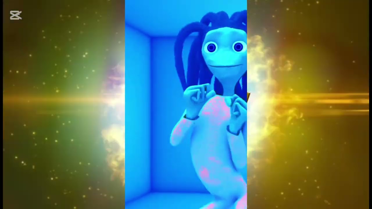 funny videos
