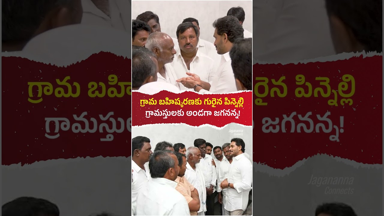 ఛలో పిన్నెల్లి కార్యక్రమానికి సిద్దమవుతున్న వైయస్ఆర్ సీపీ! 🔥#YSJaganCares #CBNFailedCM #TDPGoons