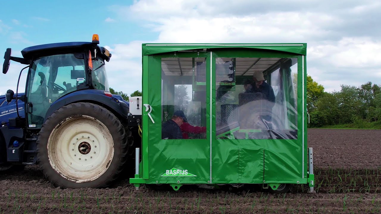 Prei planten | Planting leek | Basrijs | BPS PE70AB | New Holland T5.120 Blue Power | Lauch pflanzen