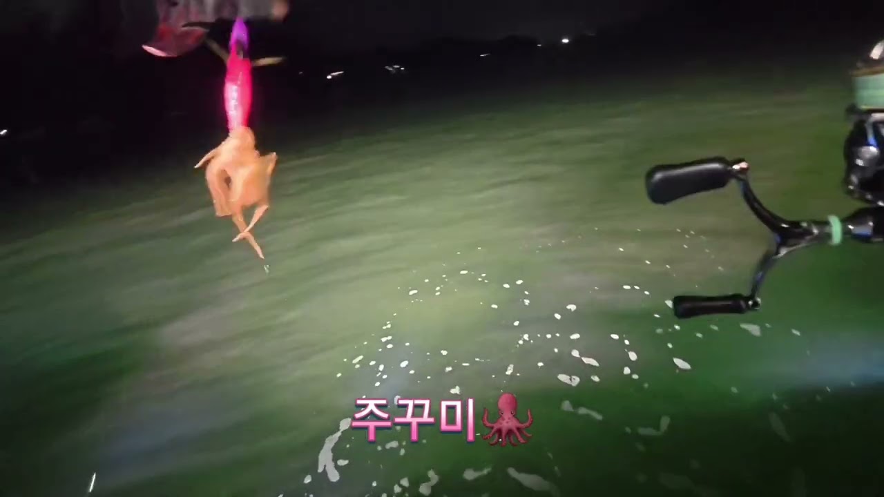 칠천도 무늬오징어 탁한물색 저활성도 최대한 바닥으로 스테이 길게  #칠천도 #진해포세이돈 #후지토팁런왕 #디오디오팁런에기 #무늬오징어 #무늬오징어팁런. 