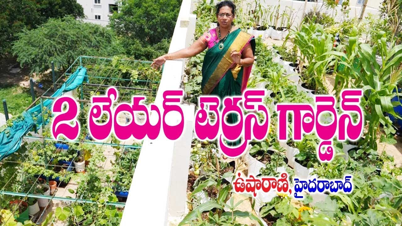 Two layer Terrace Garden || Agriculture AD Usharani  || Hyderabad || Rytunestham