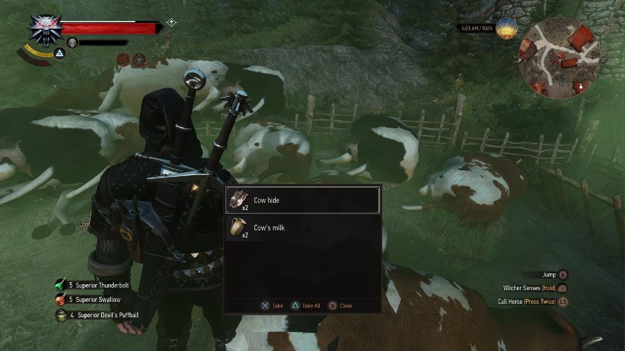 The Witcher 3: Wild Hunt Glitch Money
