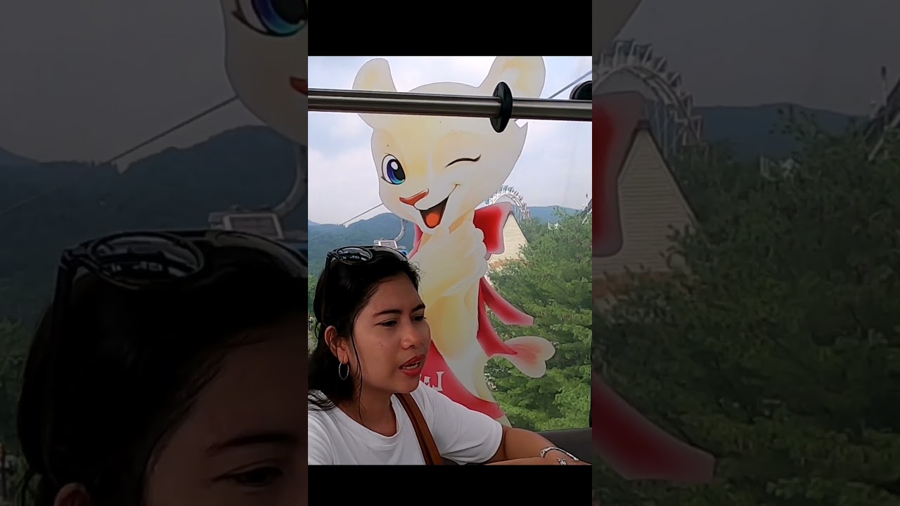 South Korea's cable car experience!