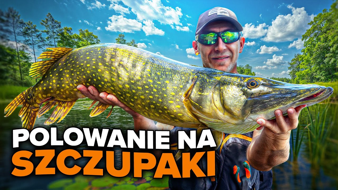 Polowanie Na Szczupaki
