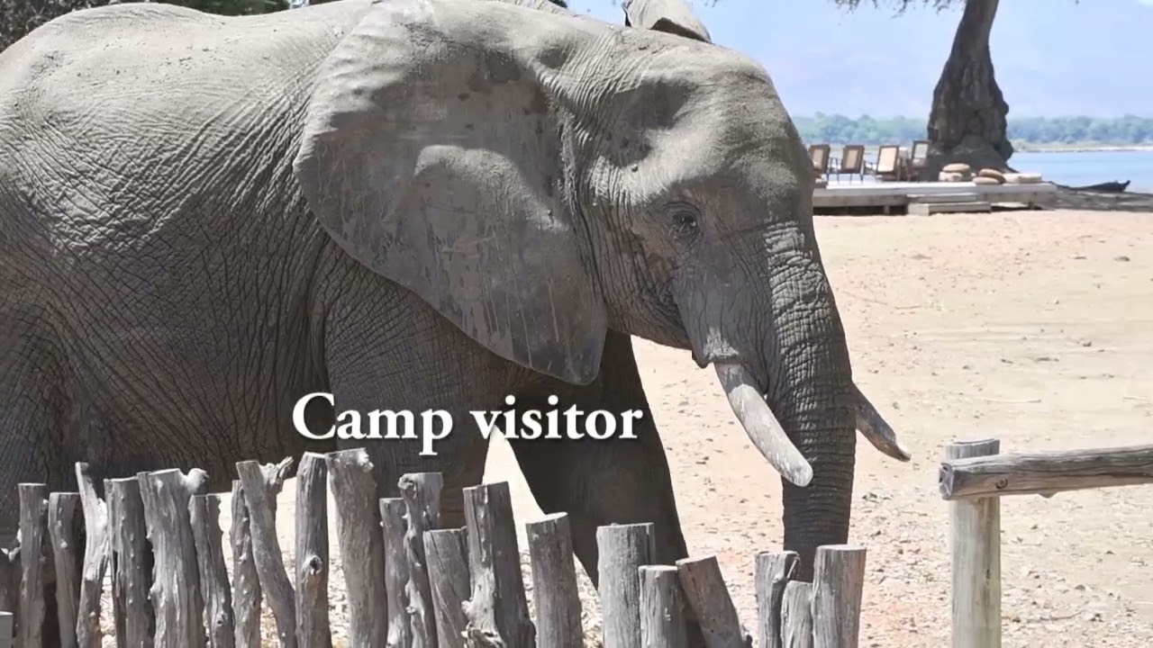 Nyamatusi Camp