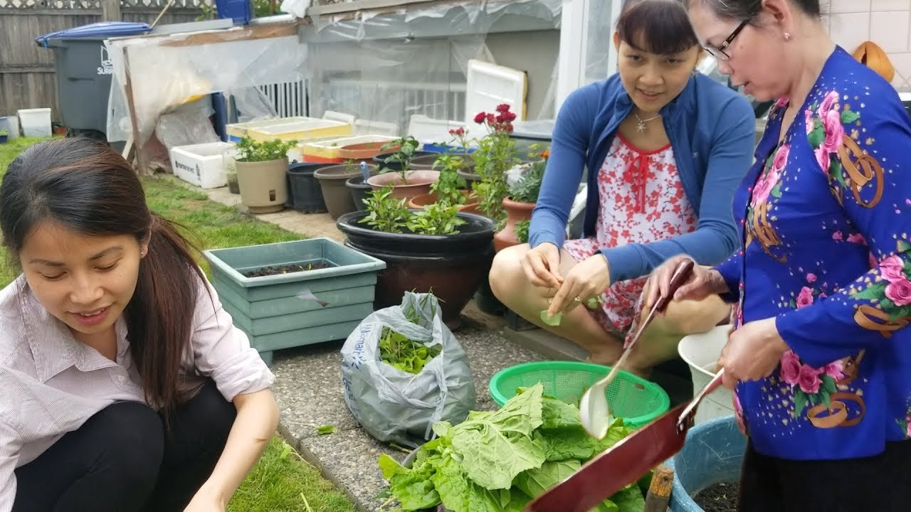 Mẹ Chồng Làm Bánh Xèo Thơm Ngon Giòn Rụm (Vợ Thằng Đậu) Hạnh Phúc Cùng Gia Đình Chồng