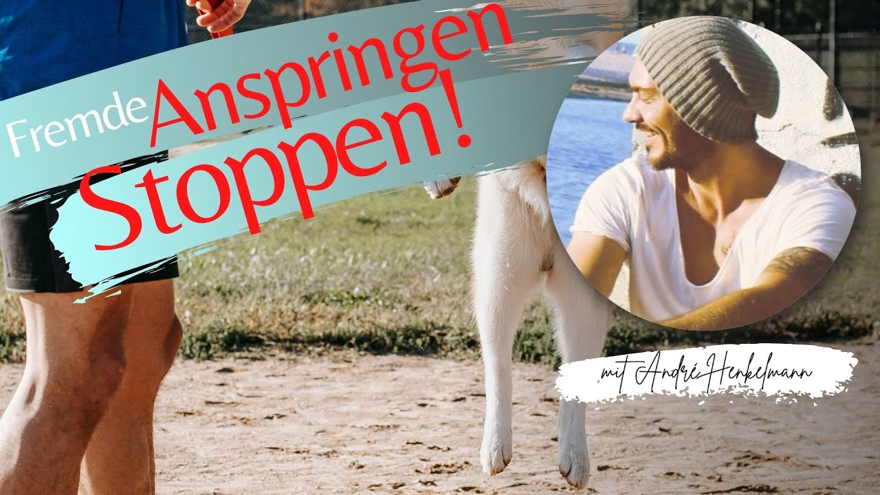 Das Anspringen von fremden Menschen stoppen! (Profi-Tipps)