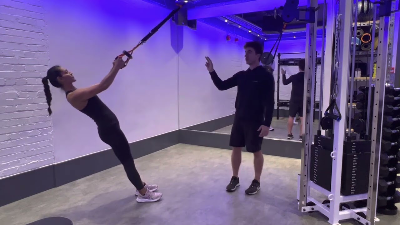 How To: TRX Reverse Flyes