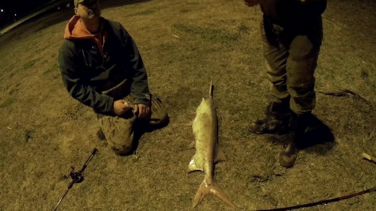 Snagging Prehistoric Fish in NE Oklahoma