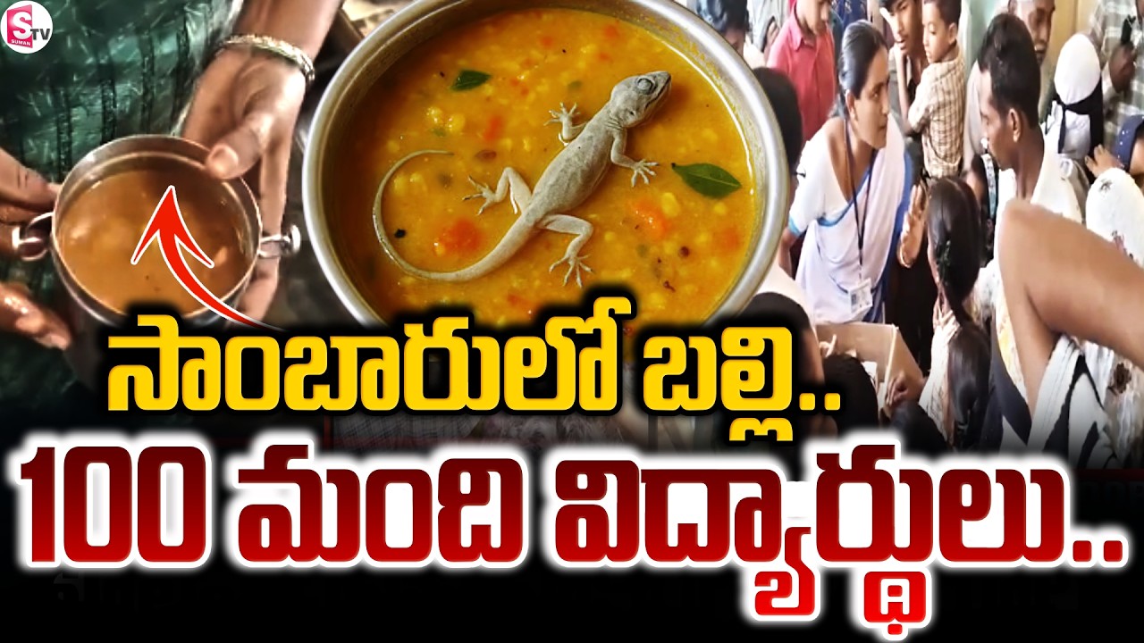 సాంబారు లో బల్లి.. 100 మంది విద్యార్థులు .. ! Chitoor Latest Incident Updates | SumanTV Sai