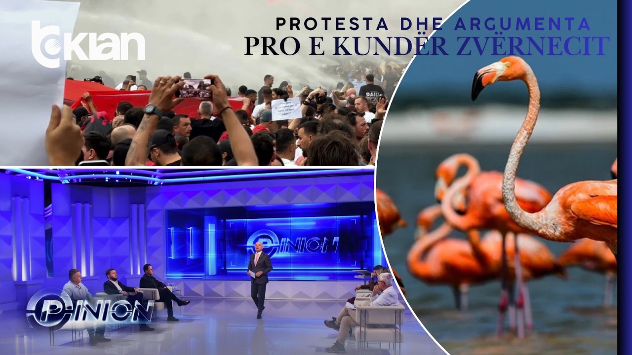 Opinion - Protesta dhe argumentet pro e kund&euml;r Zv&euml;rnecit - 3 Qershor 2026